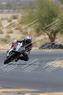 media/May-14-2023-SoCal Trackdays (Sun) [[024eb53b40]]/Turn 5 Tree of Life (1125am)/